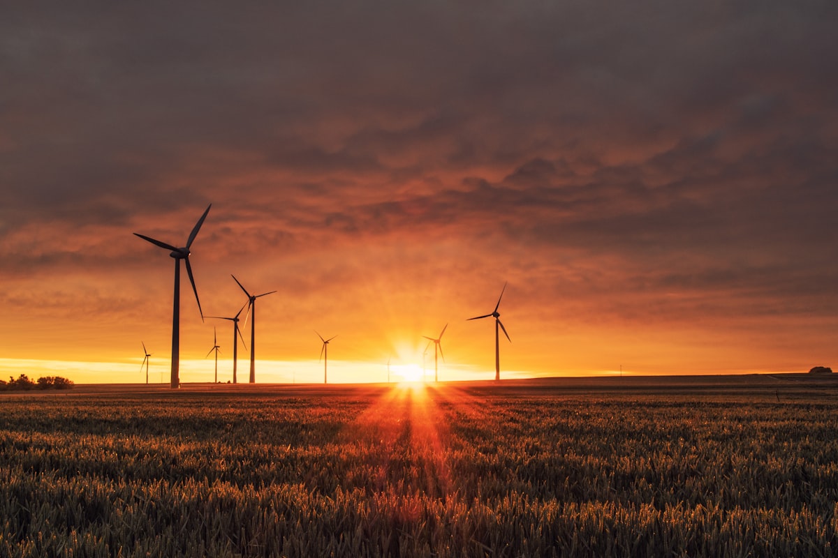 Wind turbines on open land at last light